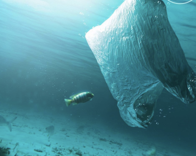 Doğaya Saygı Duruşu: Plastiksiz Temmuz